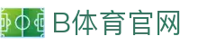 B体育官方站点 - 体育赛事同步服务中心